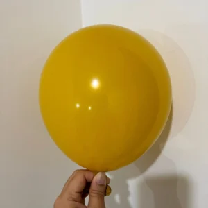 sd42 ginger yellow 1